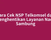 Cara Cek NSP Telkomsel dan Menghentikan Layanan Nada Sambung