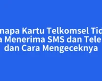 Kenapa Kartu Telkomsel Tidak Bisa Menerima SMS dan Telepon dan Cara Mengeceknya