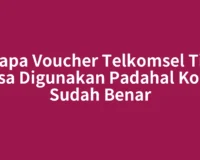 Kenapa Voucher Telkomsel Tidak Bisa Digunakan Padahal Kode Sudah Benar