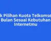 Cek Pilihan Kuota Telkomsel 1 Bulan Sesuai Kebutuhan Internetmu