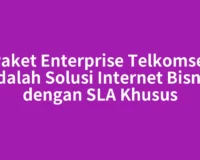 Paket Enterprise Telkomsel Adalah Solusi Internet Bisnis dengan SLA Khusus