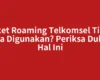 Paket Roaming Telkomsel Tidak Bisa Digunakan? Periksa Dulu 4 Hal Ini