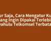 Jujur Saja, Cara Mengatur Kuota yang Ingin Dipakai Terlebih Dahulu Telkomsel Terbatas