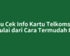 Mau Cek Info Kartu Telkomsel? Mulai dari Cara Termudah Ini